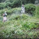 김천그린장묘 이미지