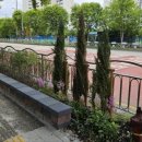 동두천송내초등학교 이미지