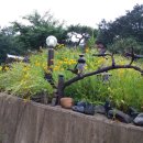 좌구산민박 이미지