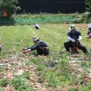 요셉농장 이미지