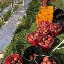 명선농장 이미지