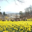 서산민박 이미지