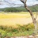 웅치면사무소 이미지