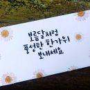 캘리그라피 용돈봉투만들기 이미지