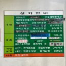 꿈꾸는분홍 이미지