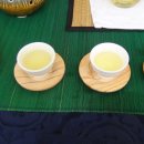 진주성(박물관 앞 광장) 이미지