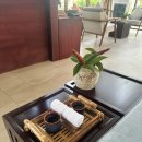 앤드제이(and.J) | [나트랑 마사지]온시스파 제이스파 퓨전리조트마사지 내돈내산 비교