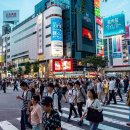 일본 회사 취업(就職) 후기! 취업 활동 과정 모두 공개합니다!