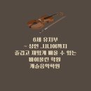 캐슬음악학원 네이버블로그