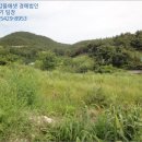 고금면-1 이미지