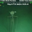 심해에 사는 8m 오징어 이미지