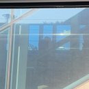 여주사랑약국 | [임신기록] 14주차 아기의 멋진 발차기와 임당검사, 29주차 입체초음파