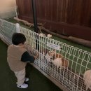 시온 ZION 이미지