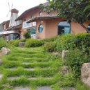 장림산방 | 단양맛집 :) 장림산방 청국장_능이버섯전골_더덕구이 솔직후기