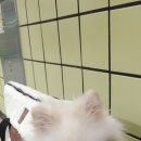 화원연합동물병원 이미지