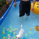 다올펜션 이미지