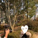 루미니약국 이미지