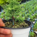 생명농장 이미지