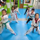 늘푸른태권스쿨 이미지