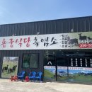 임포닭집 이미지