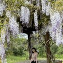 대천동주민센터 이미지