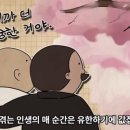 국제오리 이미지