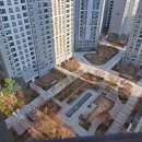 동양당구장 이미지