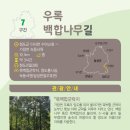 비슬산둘레길 7구간 이미지