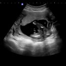 마리여성의원 이미지