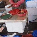 상무금요시장 옆 이미지