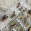 취향저견 이미지