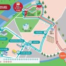 횡성한우축제장(섬강둔치) 이미지