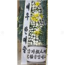 사람과 애견미용 이미지