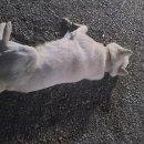 만덕별장 이미지