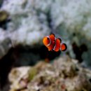 산 약국 이미지