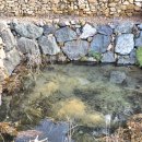 작은연못낚시터 이미지