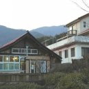 벚꽃향기민박 이미지