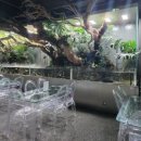 대자연가든 | [가평] 신비동물원+아쿠아가든 재방문 후기! 내돈내산 찐 여행지 꿀팁 모아보기!