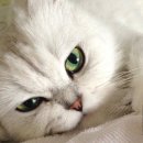 범어동물의료센터 이미지