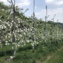 명선농장 이미지