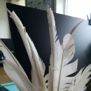 안동백조마을 이미지