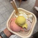 아이스걸크림보이 - 고양시 일산동구 정발산로 24 | 정자역 카페거리 후식 디저트 젤라또 아이스크림 맛집 아이스걸크림보이 내돈내산 후기