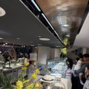 파르나스호텔 | 제주도 호텔 파르나스 제주 후기 수영장 오션뷰 제대로 즐기고 온 솔직후기