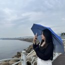 문산수억중학교 | 개미는.. 뚠뚠..오늘도.. 뚠뚠.. 열시미 일을 하네...~