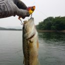 고남저수지 이미지