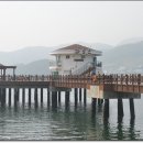 파로스커피 Daum카페