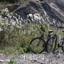 별미백반생선탕 이미지