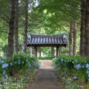 청산수목원 티스토리