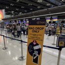 941 | 타이항공 밀라노 직항 항공편 이용 후기 TG940/941