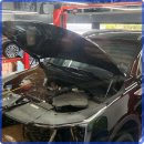 오일오아시스 사상 이미지